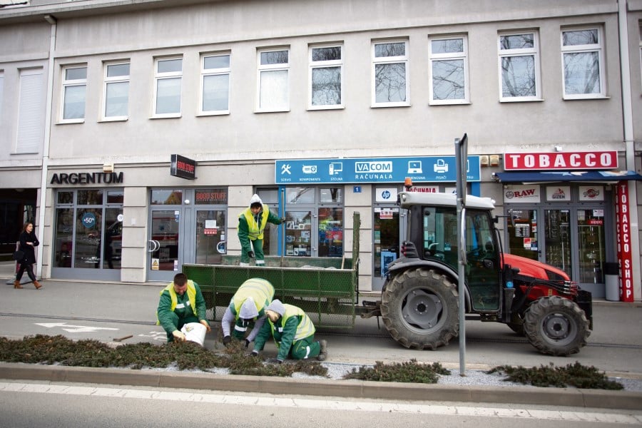 virovitica sadnja cvijeća Custom