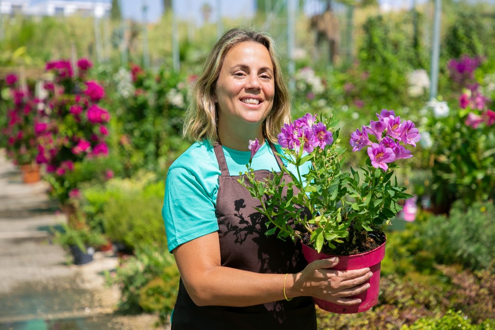 happy female florist walking greenhouse holding potted flowering plant smiling medium shot copy space gardening job botany concept