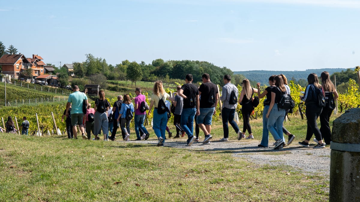 WINERUN autor E projekt 18